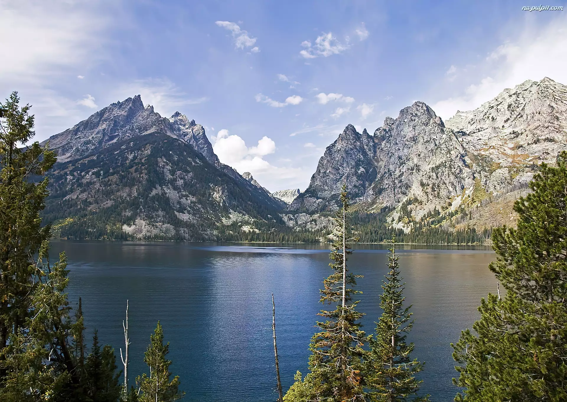 Wyoming, Drzewa, Góry, Jezioro, Jeeny Lake